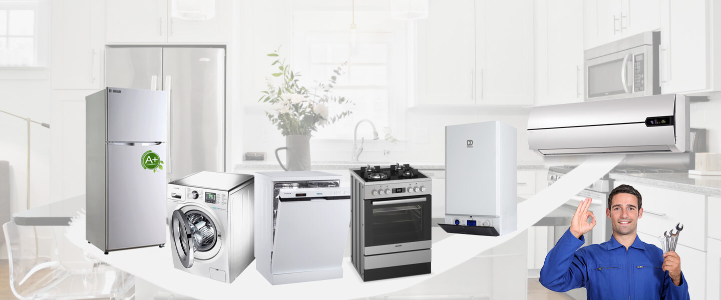 Menderes Electrolux Servisi